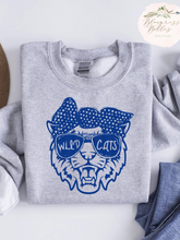 Load image into Gallery viewer, Wildcat with Sunglasses Mom & Me Sweatshirt